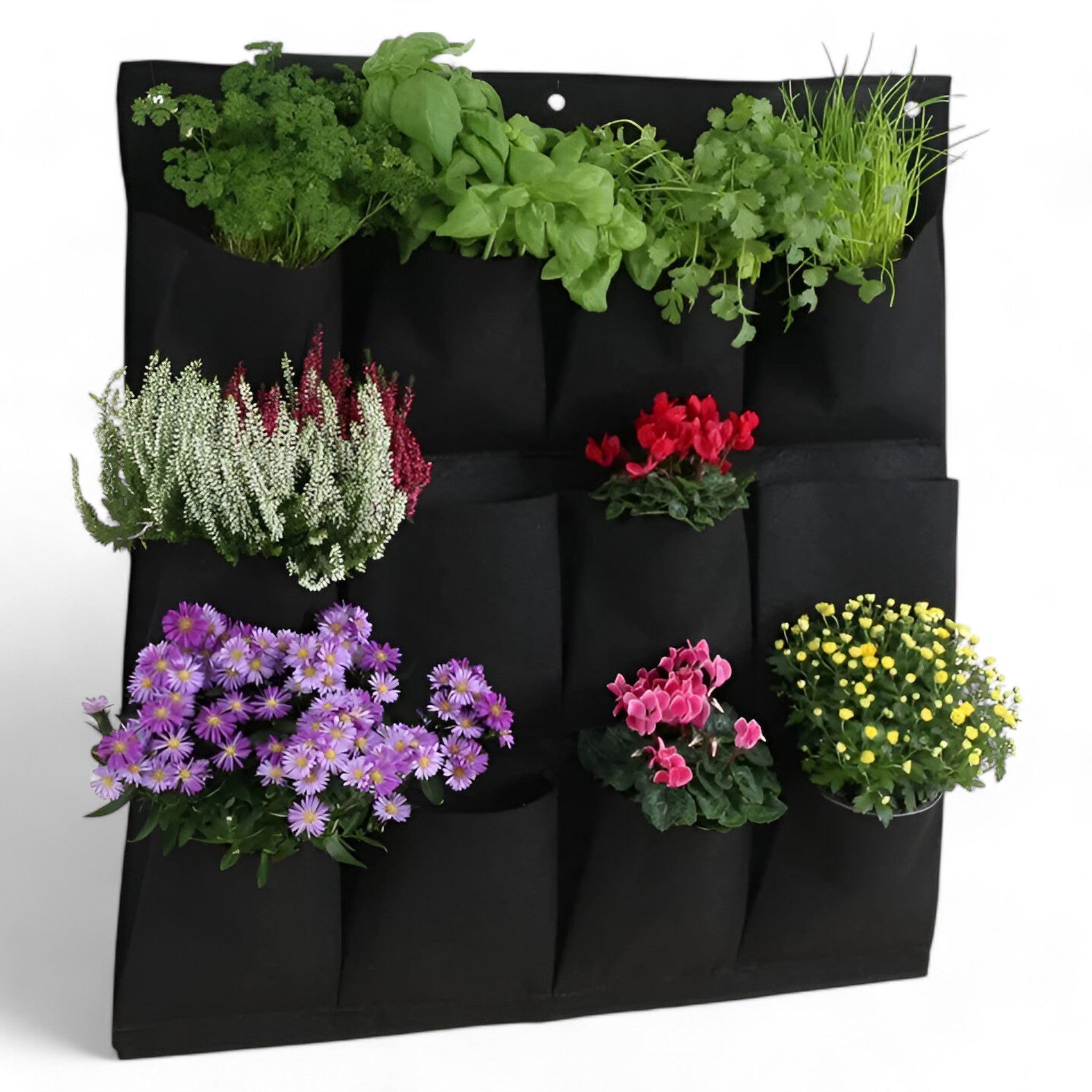 Hängetasche für den Garten - Perfekt für hängende Pflanzen und im Freien - - Hängetasche für den Garten - Perfekt für hängende Pflanzen und im Freien - €25 - Concept Frankfurt