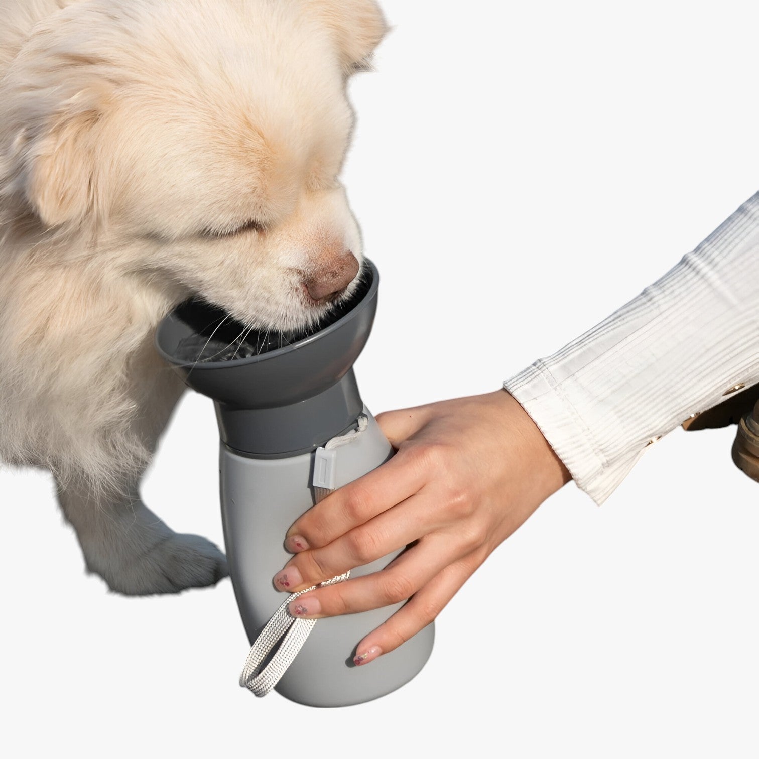 Theo | Tragbare Wasserflasche für Hunde und Katzen, Außenspender