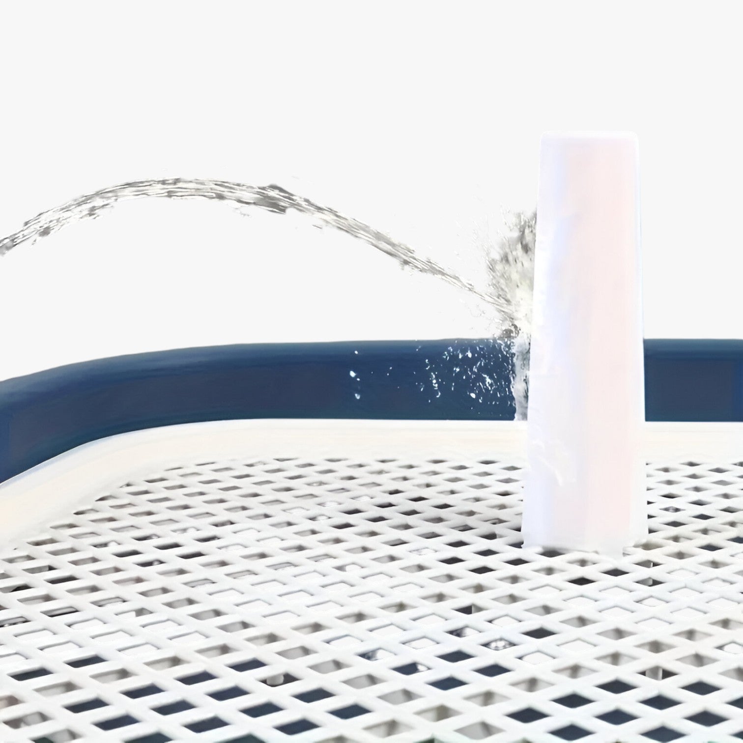 Carter | Hundetoilette mit abnehmbaren Netz Einfaches und hygienisches Training