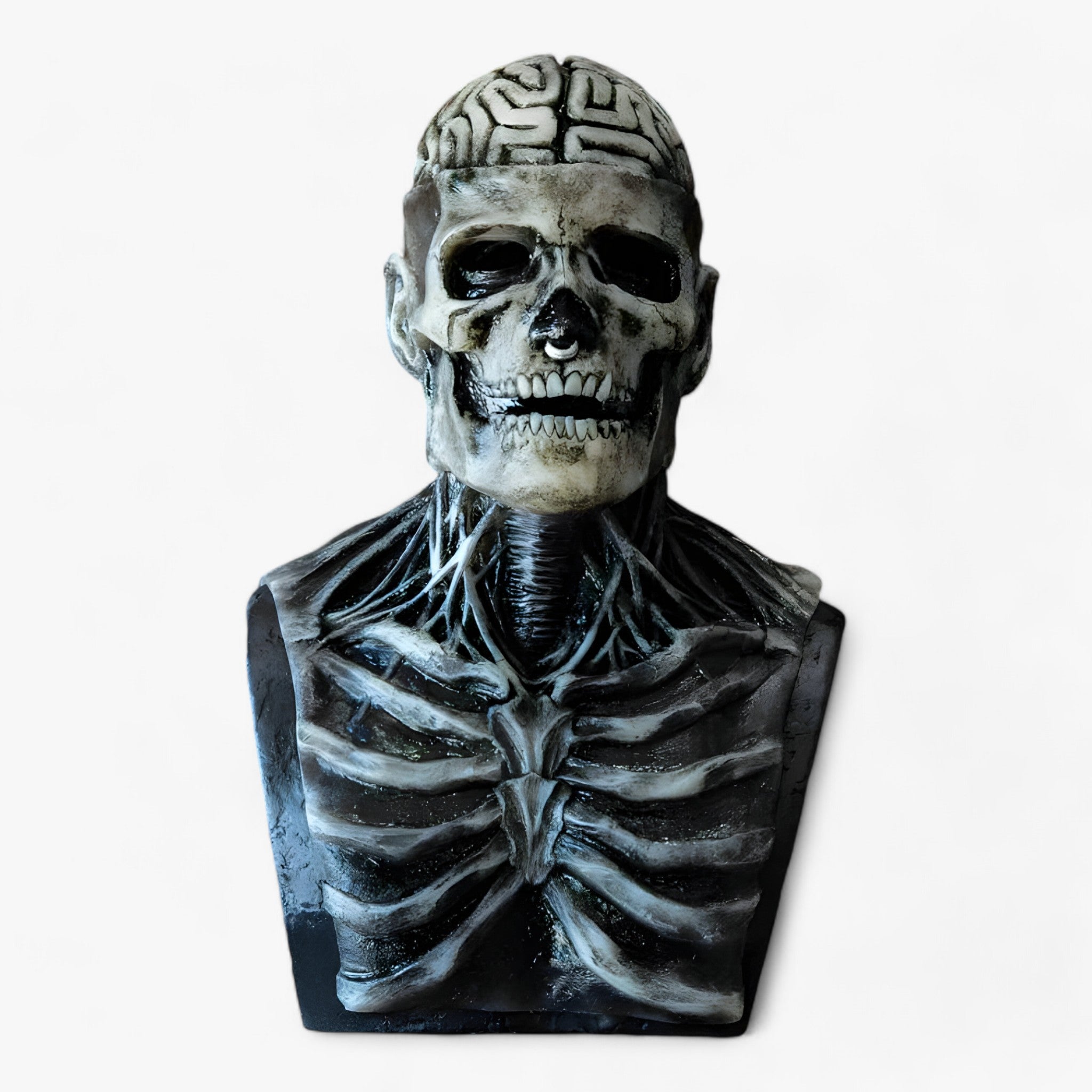 Victor | Latex-Kopf-Skelettmaske Halloween - Skelett-Effekt für Kostüm und Dekoration