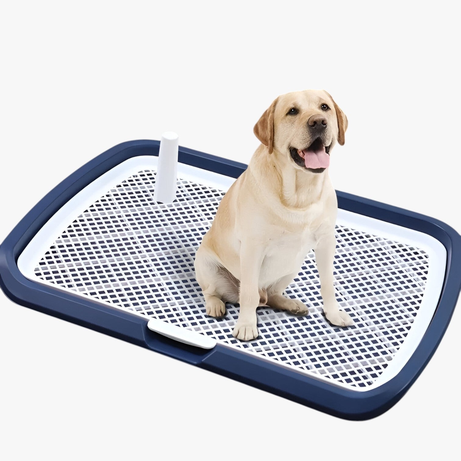 Carter | Hundetoilette mit abnehmbaren Netz Einfaches und hygienisches Training