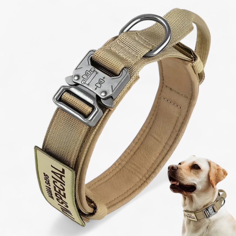 Brodie| Taktisches Hundehalsband mit Griff für das Training