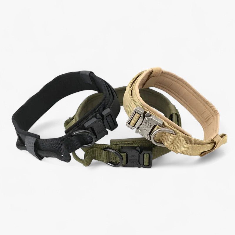 Brodie| Taktisches Hundehalsband mit Griff für das Training