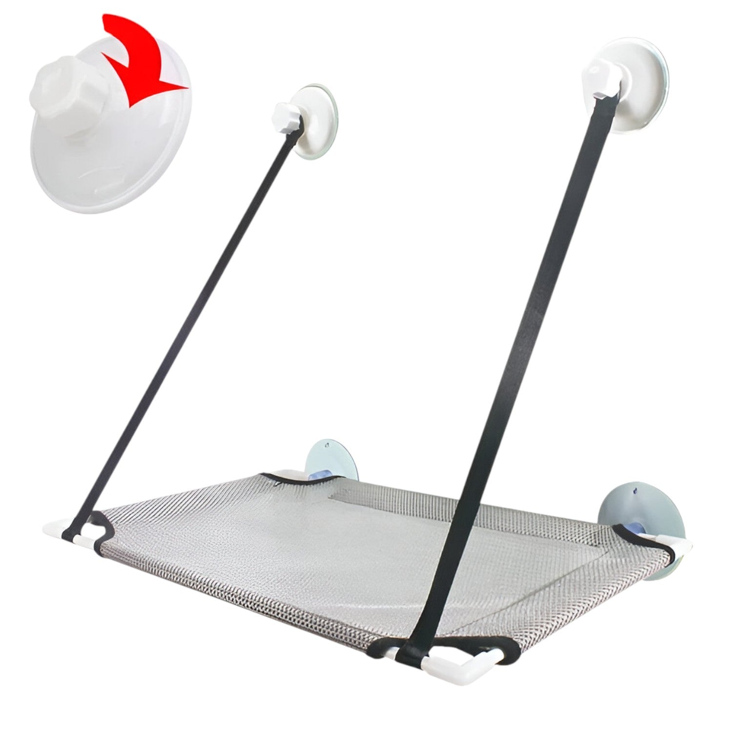 Simba | Sonnige Fensterkatze