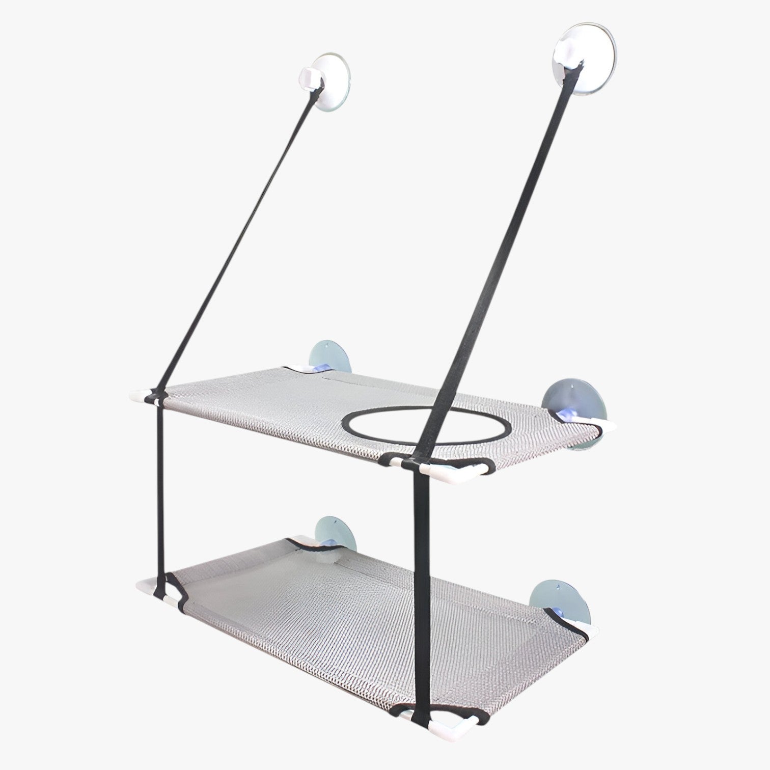 Simba | Sonnige Fensterkatze