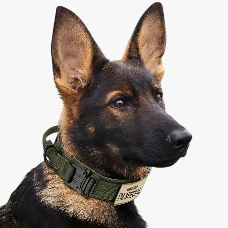 Brodie| Taktisches Hundehalsband mit Griff für das Training