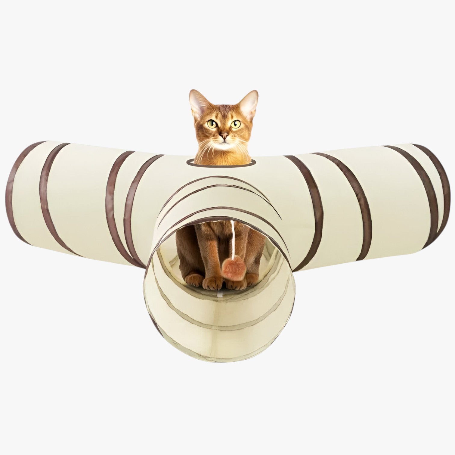 Charlie | Interaktives T/Y Tunnel für Katzen – Zusammenklappbar, Lustig und Platzsparend