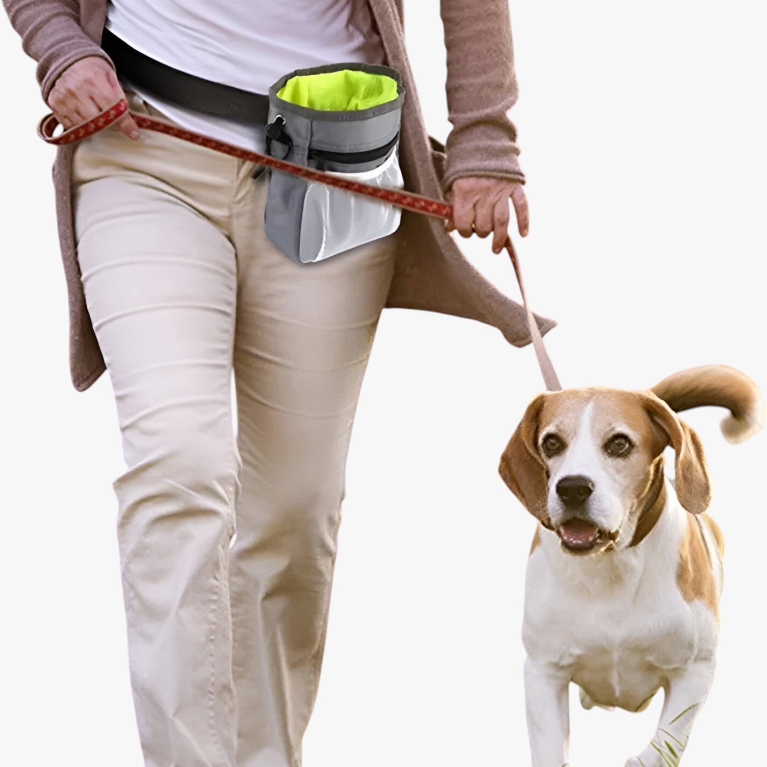 Vincent | Multifunktionale Hundehandtasche für Spaziergänge und Training