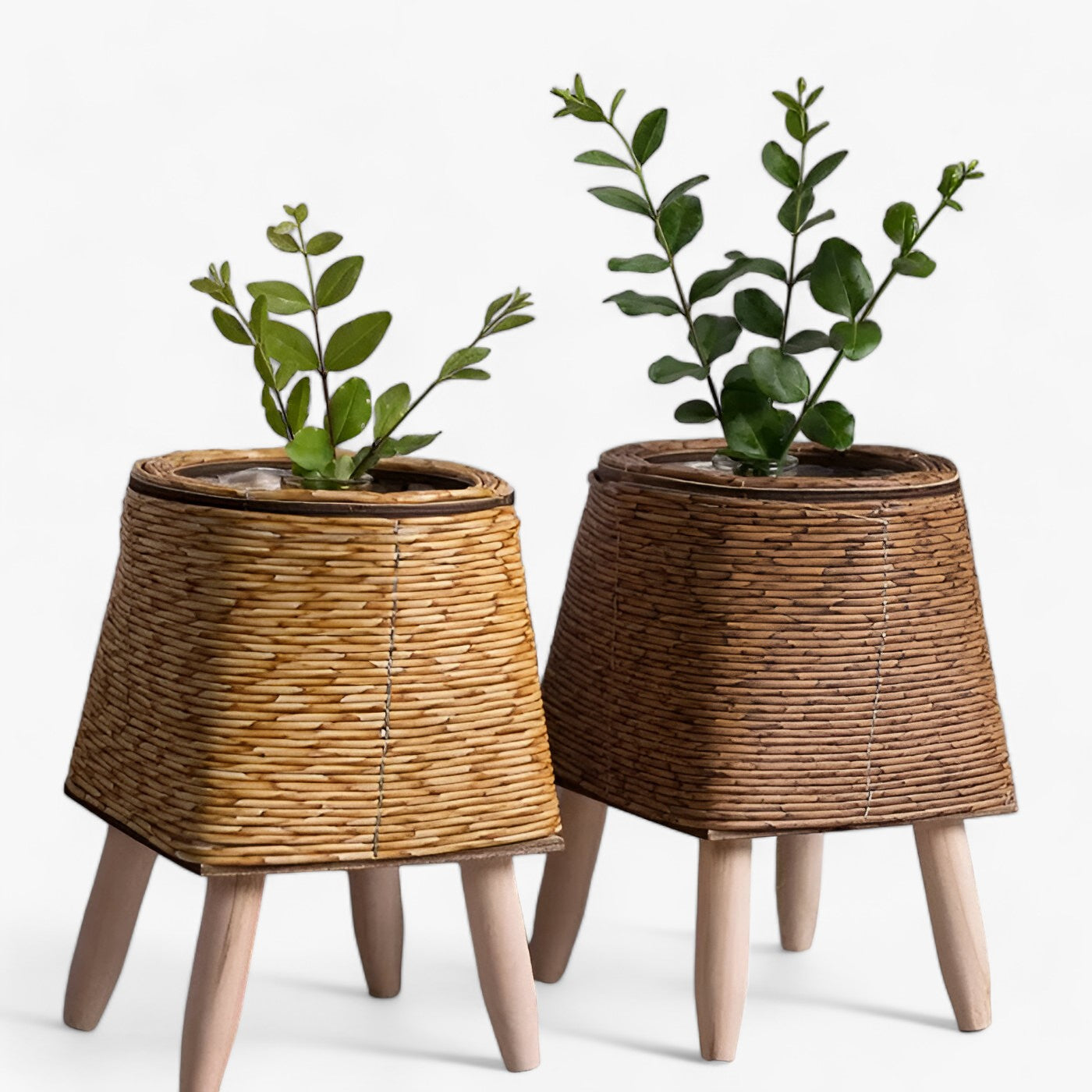 Rattan-Oase | Stilvoller Übertopf - Vielseitige Wohnkultur - - Rattan-Oase | Stilvoller Übertopf - Vielseitige Wohnkultur- €25 - Concept Frankfurt