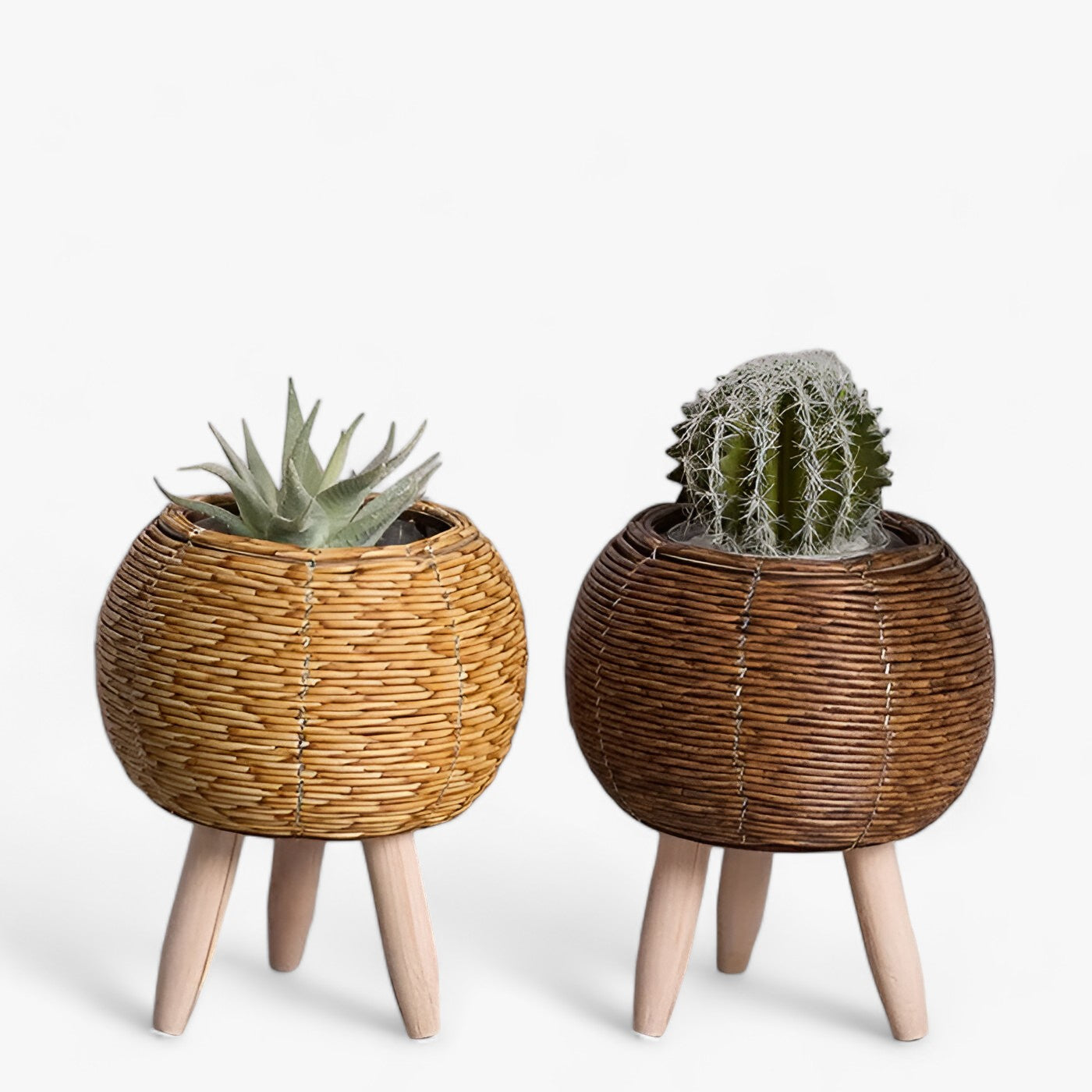 Rattan-Oase | Stilvoller Übertopf - Vielseitige Wohnkultur - - Rattan-Oase | Stilvoller Übertopf - Vielseitige Wohnkultur- €25 - Concept Frankfurt