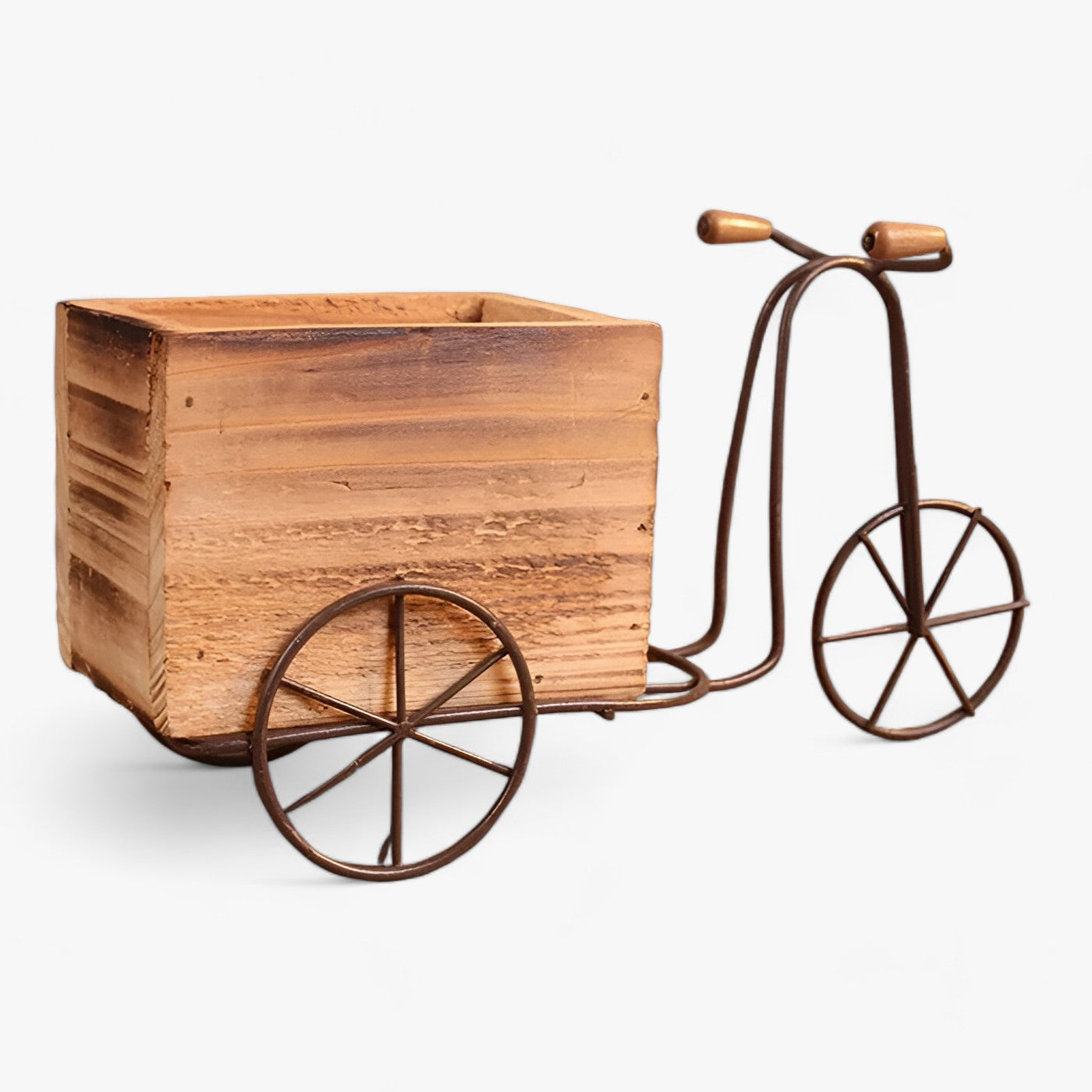 PedalBlüte | Retro-Blumentopf - Verspielte Sukkulentenausstellung - - PedalBlüte | Retro-Blumentopf - Verspielte Sukkulentenausstellung- €25 - Concept Frankfurt