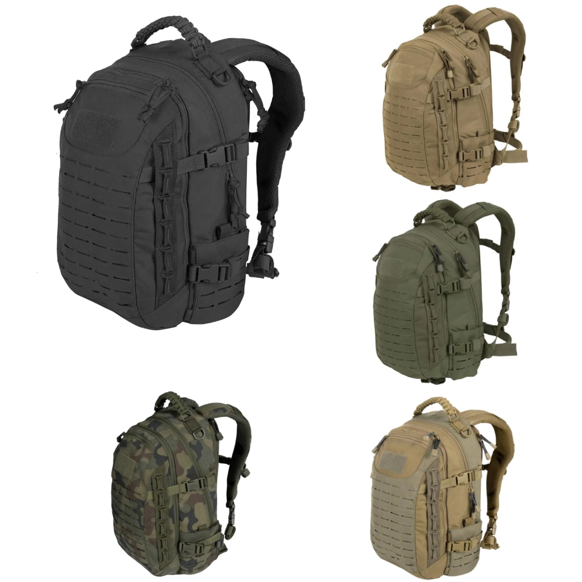 Taktischer Rucksack Commando 30L+ - - Taktischer Rucksack Commando 30L+ - €25 - Concept Neurenberg