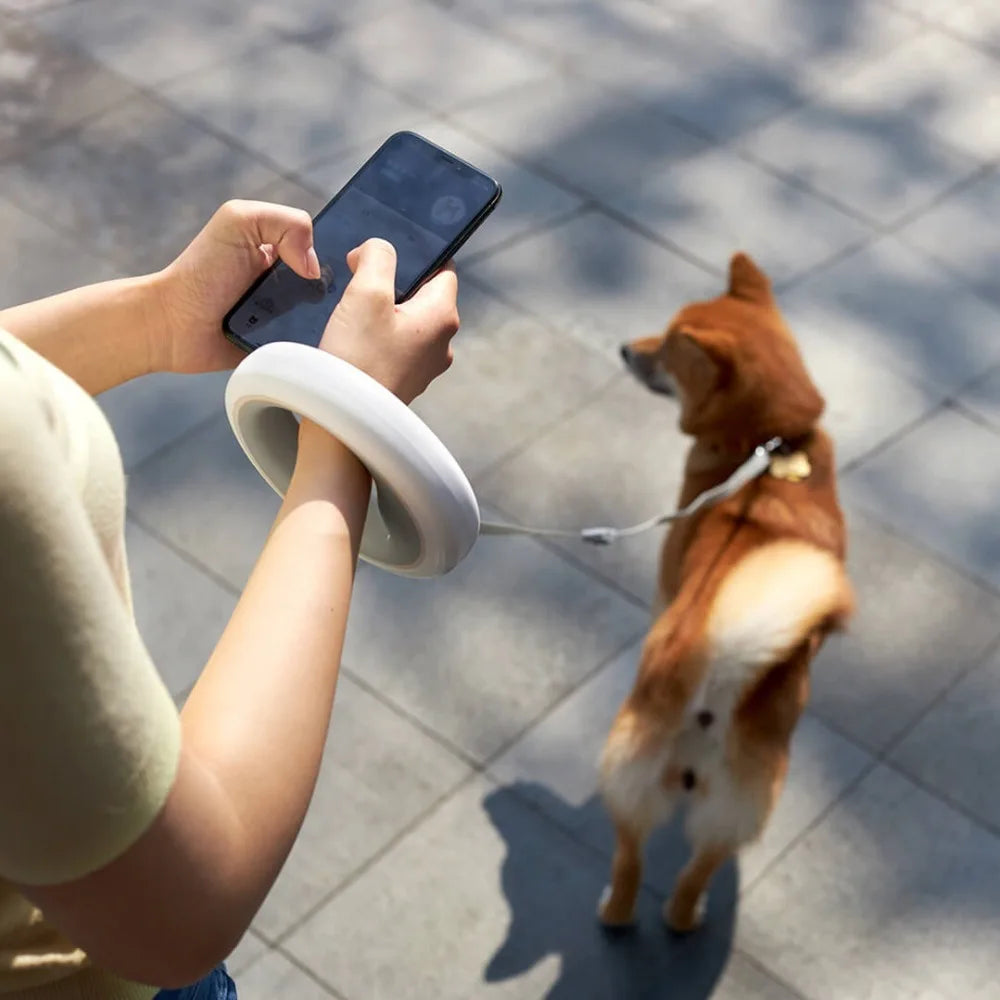 Verstellbare intelligente Leine - Ein verbessertes Spaziergangserlebnis für Hunde - - Verstellbare intelligente Leine - Ein verbessertes Spaziergangserlebnis für Hunde - €25 - Concept Frankfurt