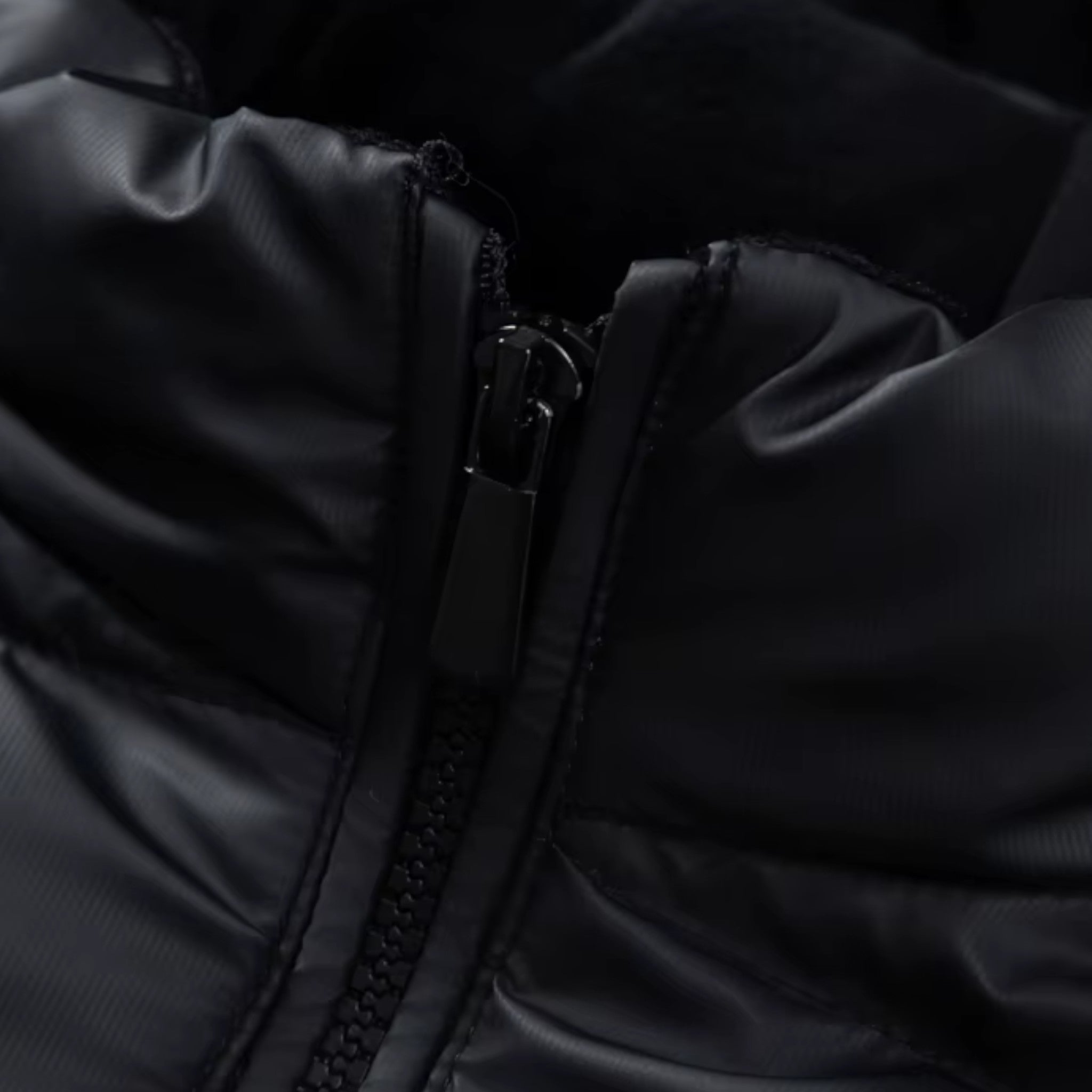 Alfie | Winterjacke – Stil und Wärme für den Winter