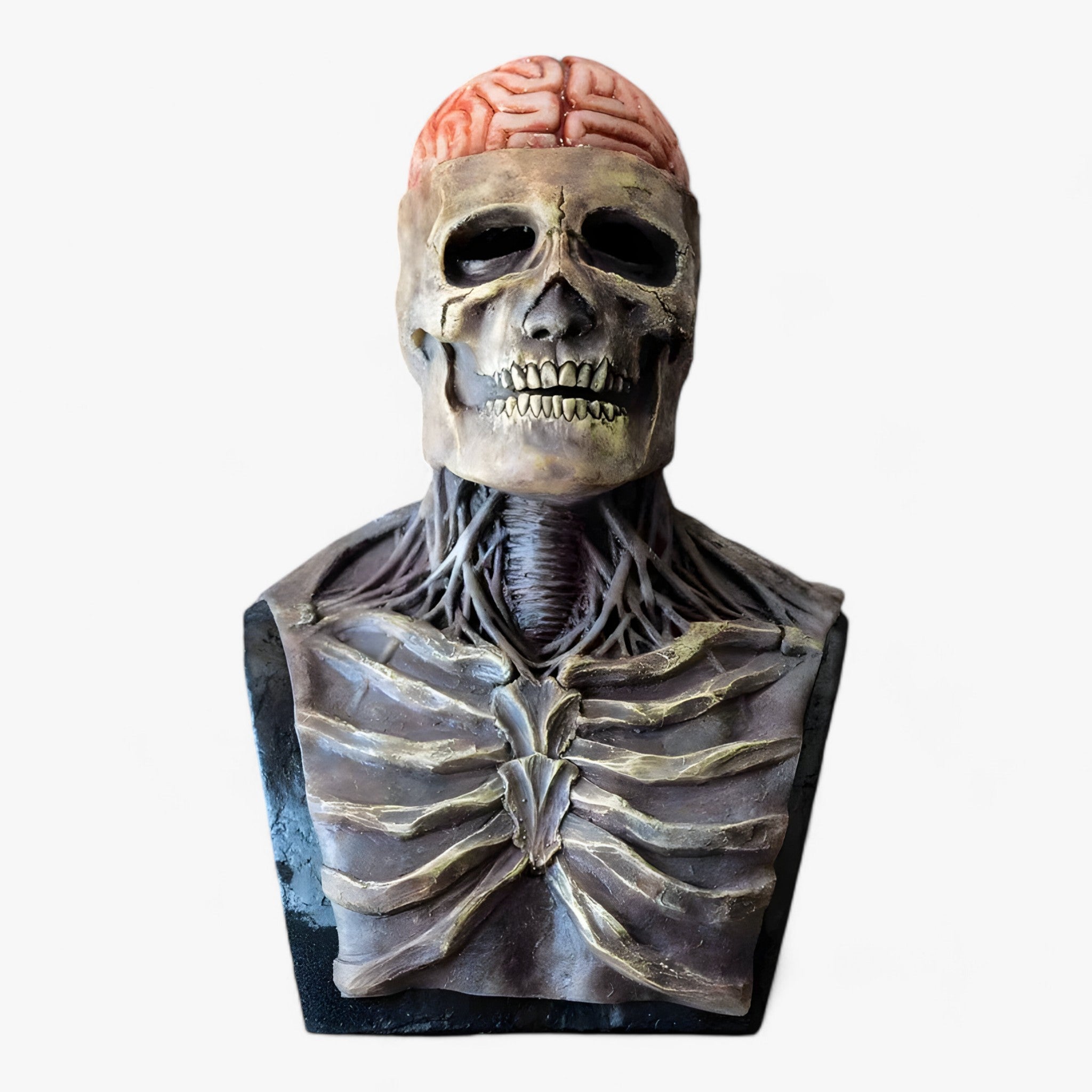 Victor | Latex-Kopf-Skelettmaske Halloween - Skelett-Effekt für Kostüm und Dekoration