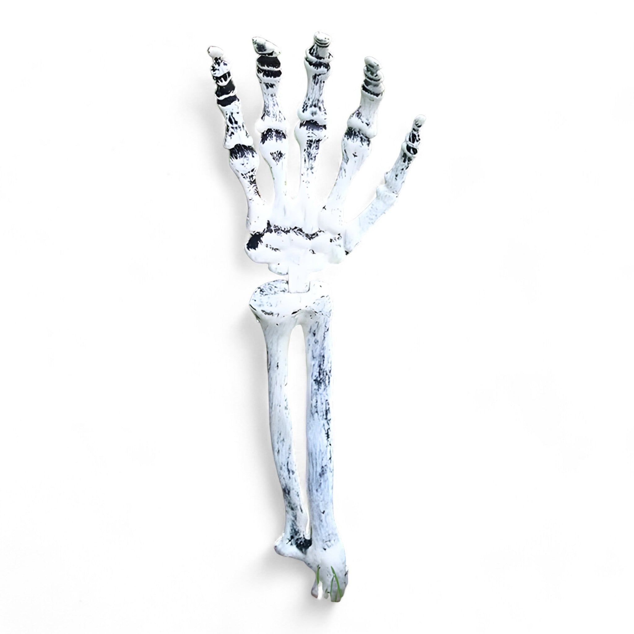 Gespenstische Halloween-Dekoration - Plastik-Skelett und Schädelornamente - Einzigartiger langer Arm - (1+1 kostenlos) Gustave | Gespenstische Halloween-Dekoration - Plastik-Skelett und Schädelornamente - €25 - Concept Düsseldorf