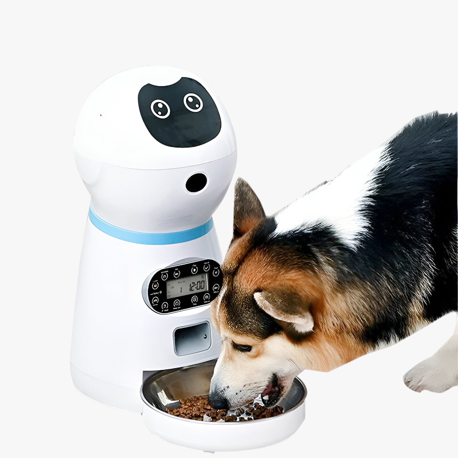 Automatischer Futterspender für Tiere | Intelligenter Automatischer Futterspender - Praktische Ernährung - - Automatischer Futterspender für Tiere | Intelligenter Automatischer Futterspender - Praktische Ernährung - €25 - Concept Neurenberg