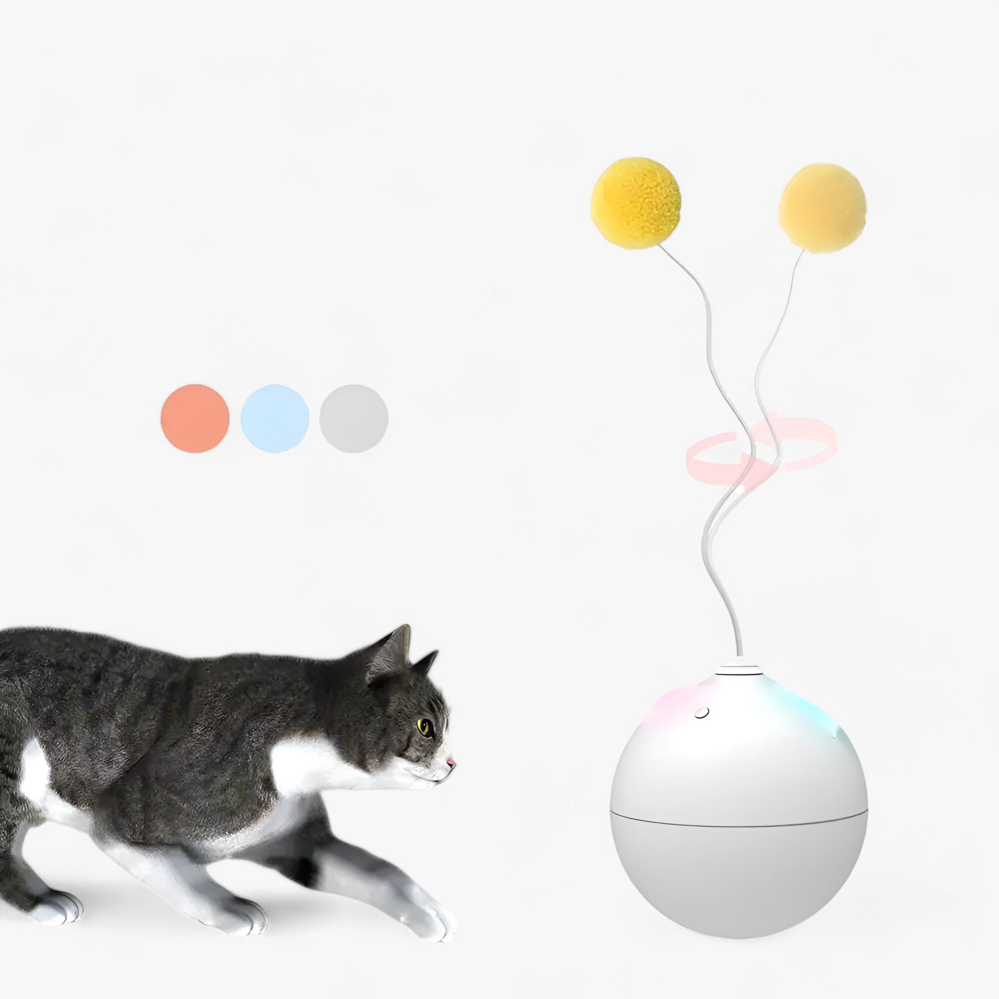 Automatisches Spielzeugball für Katzen - Stimuliert und Unterhält - - Automatisches Spielzeugball für Katzen - Stimuliert und Unterhält - €25 - Concept Frankfurt