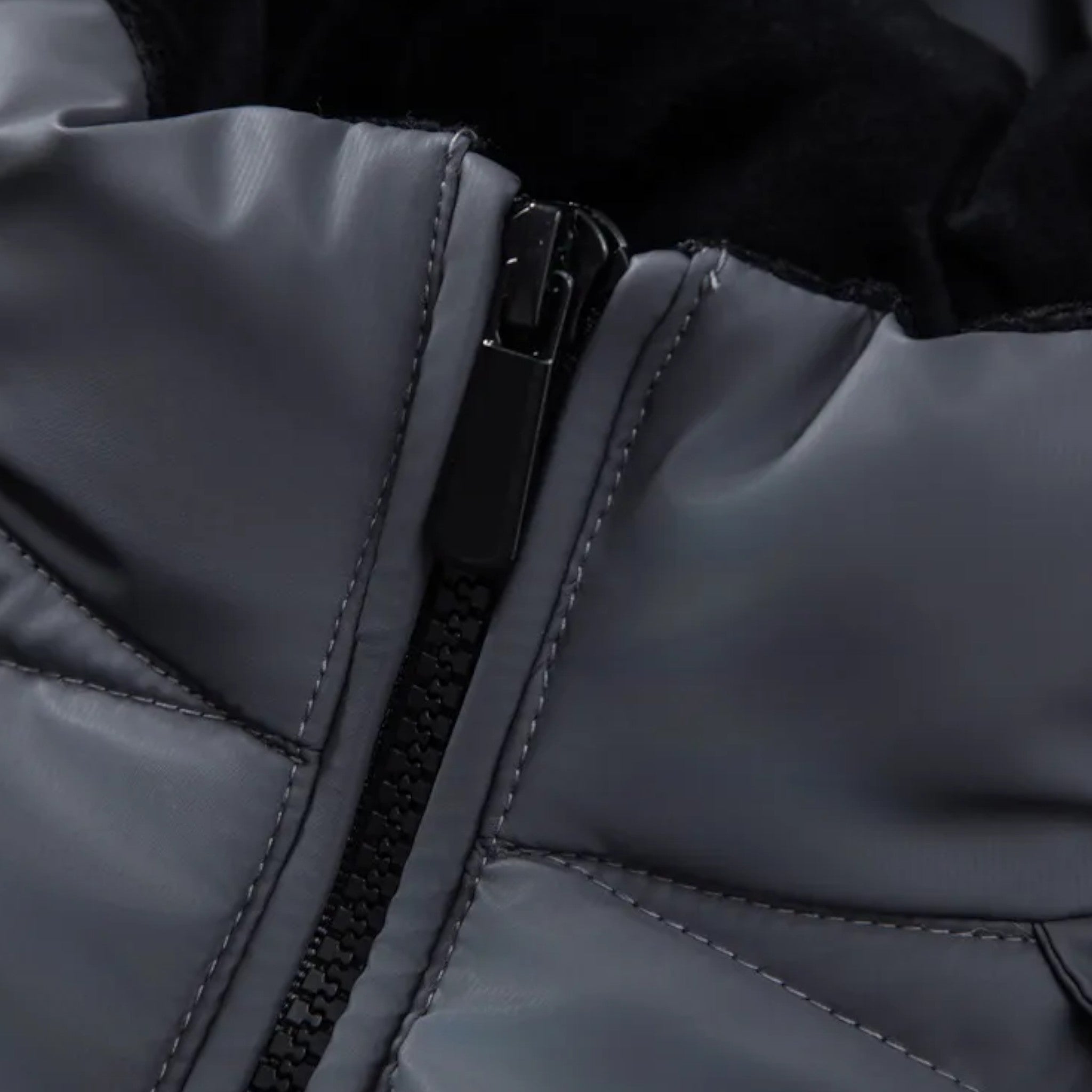 Alfie | Winterjacke – Stil und Wärme für den Winter