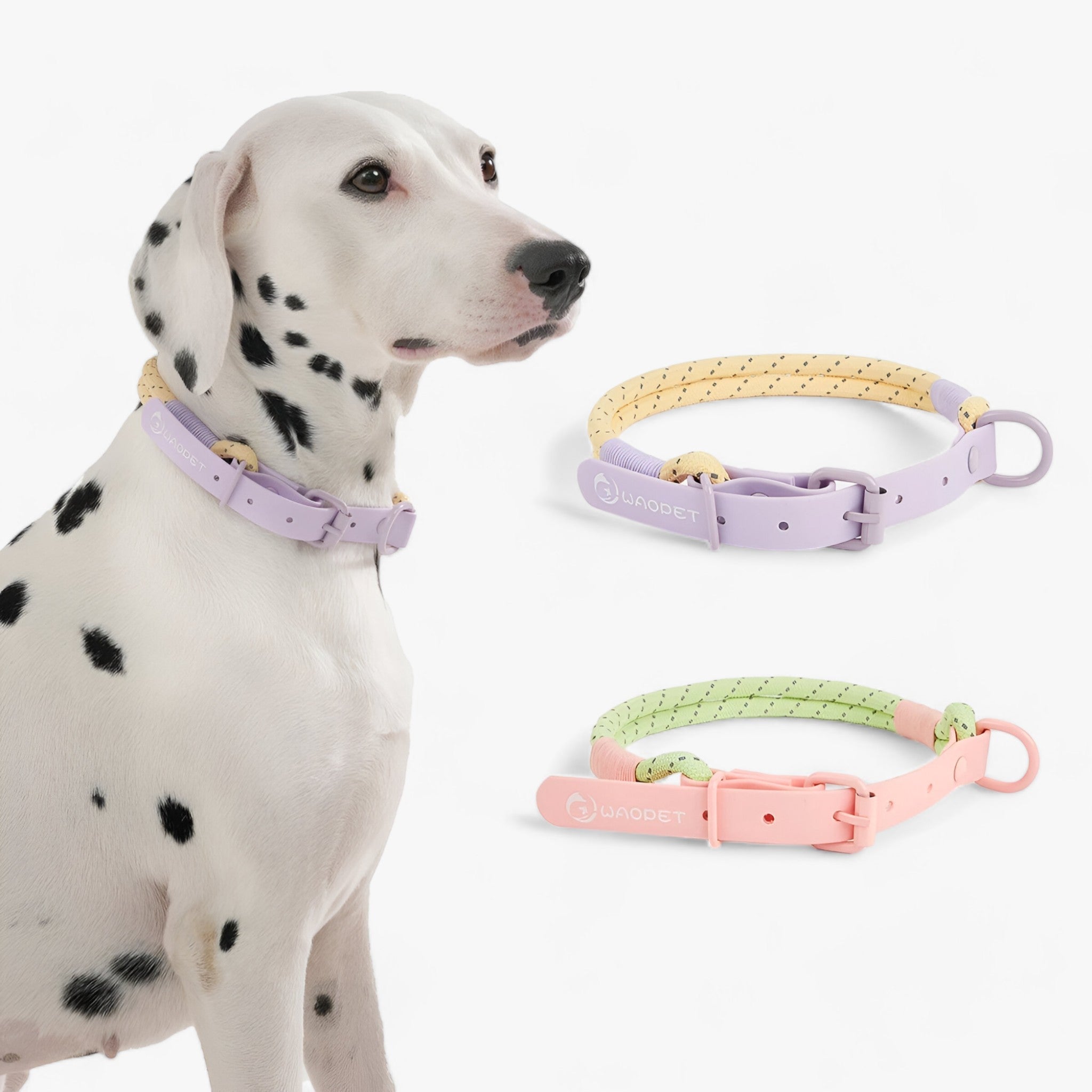 PAWFECT PALS | Hundehalsband-Set - Auffälliges Design mit langlebigem PVC - - PAWFECT PALS | Hundehalsband-Set - Auffälliges Design mit langlebigem PVC - €25 - Concept Frankfurt