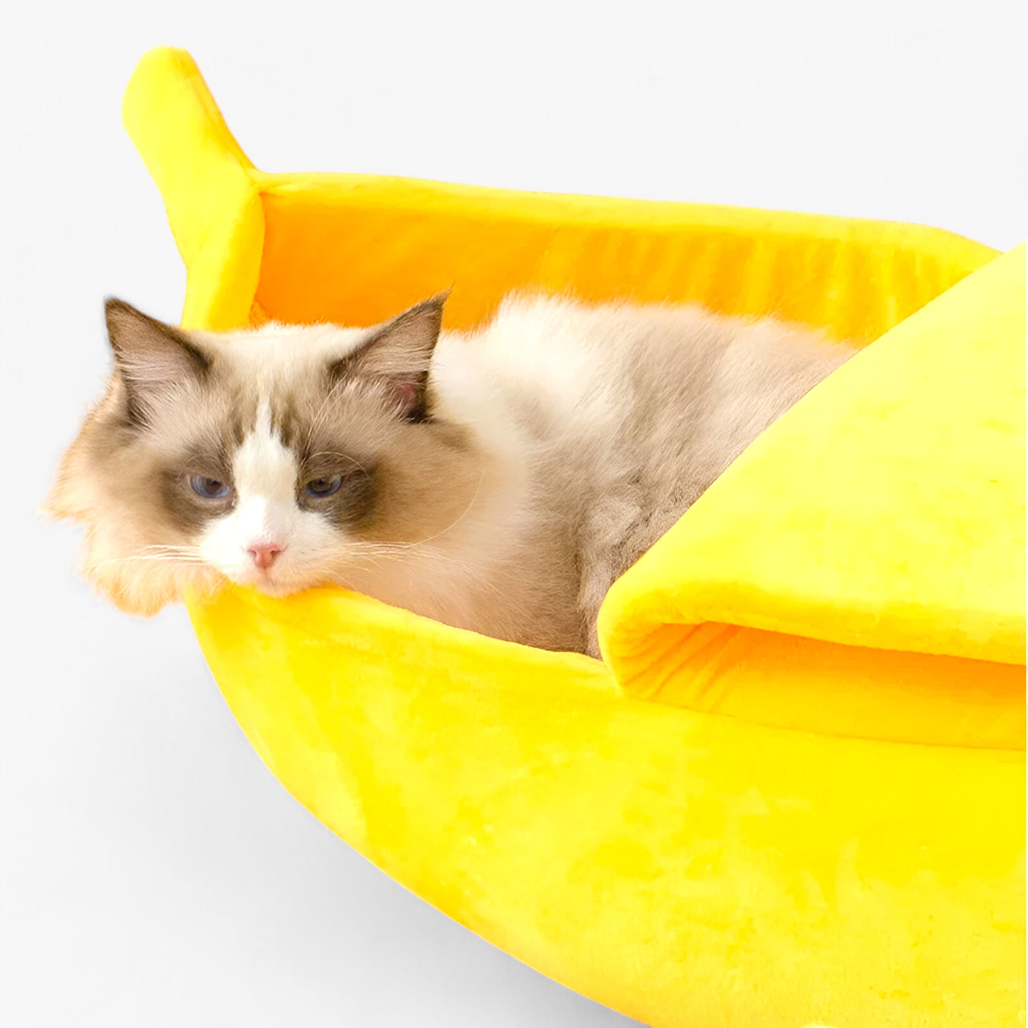 Bananenförmiges Katzenbett - Gemütlich und Spaßig für Katzen - - Bananenförmiges Katzenbett - Gemütlich und Spaßig für Katzen- €25 - Concept Frankfurt