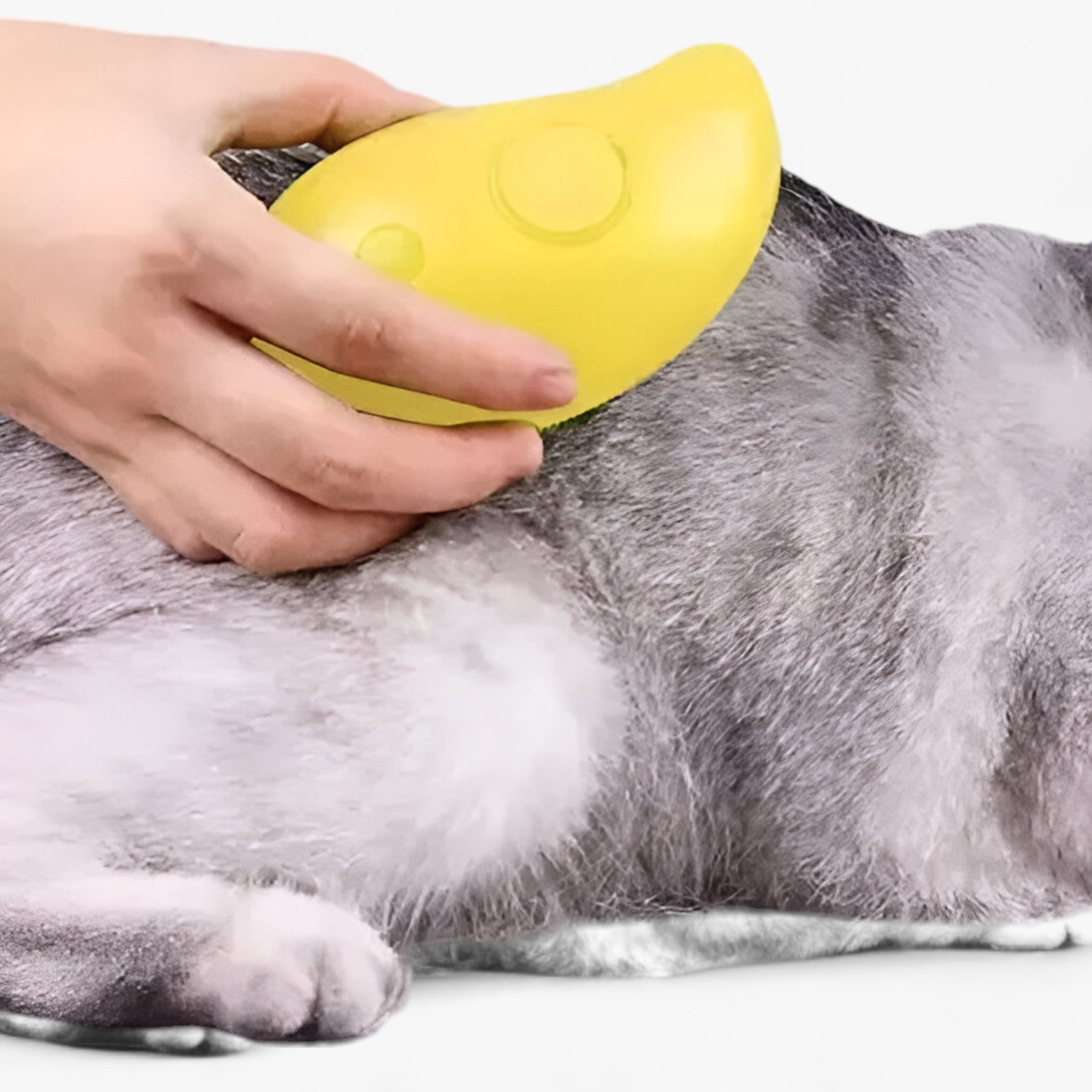 PET | All-in-One Haustierpflegewerkzeug - Verbessert die Pflege mit Dampf und Massage - - PET | All-in-One Haustierpflegewerkzeug - Verbessert die Pflege mit Dampf und Massage - €25 - Concept Frankfurt