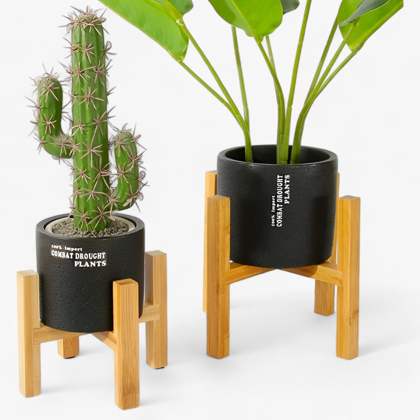 Bonsai-Glück | Holzpflanzgestell - Dauerhafte Eleganz - - Bonsai-Glück | Holzpflanzgestell - Dauerhafte Eleganz- €25 - Concept Frankfurt