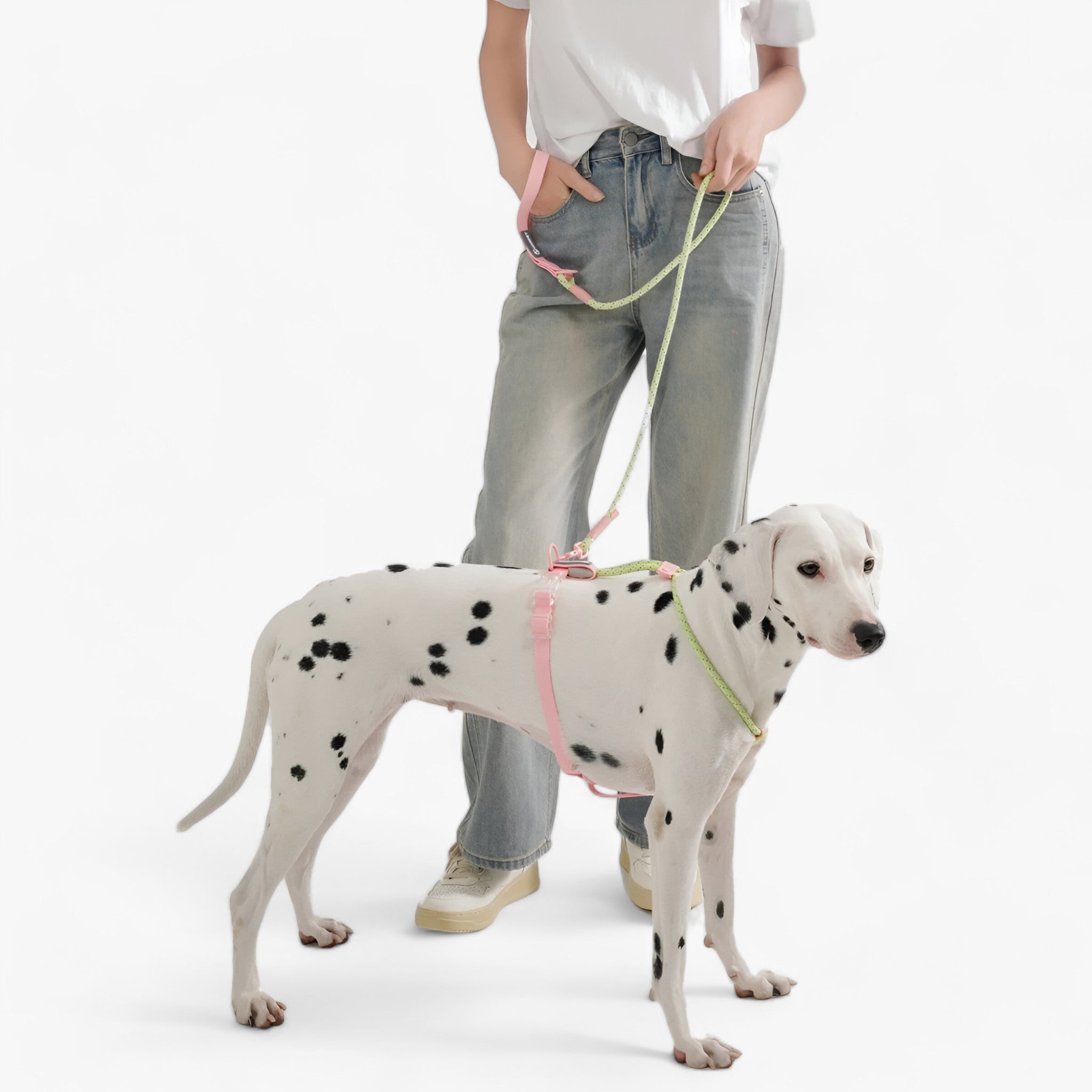 PAWFECT PALS | Hundehalsband-Set - Auffälliges Design mit langlebigem PVC - - PAWFECT PALS | Hundehalsband-Set - Auffälliges Design mit langlebigem PVC - €25 - Concept Frankfurt