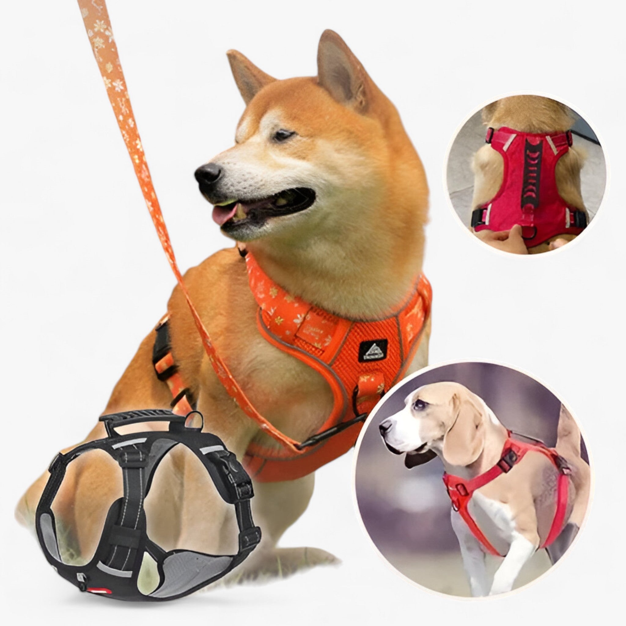 Buddy | Hunde-Anti-Zug-Geschirr - Verbesserte Kontrolle - Orange - Buddy | Hunde-Anti-Zug-Geschirr - Verbesserte Kontrolle - €25 - Concept Frankfurt