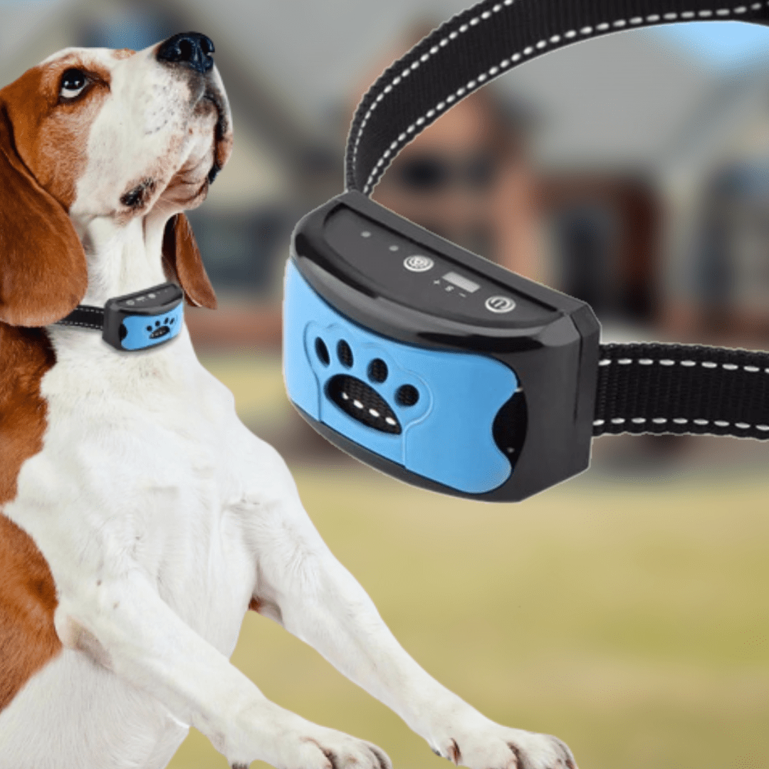 GentleDog™ Hundehalsband für bellende Hunde - - GentleDog™ Hundehalsband für bellende Hunde - €25 - Concept Neurenberg